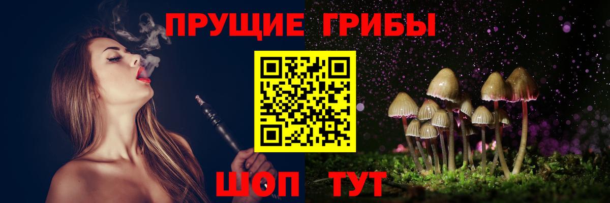 Псилоцибиновые грибы Psilocybe  Вход с VPN  Мытищи 